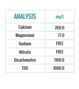 Analize-Carbo-2