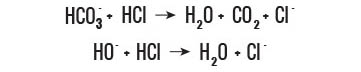 Chemical reaction of the digestion process in the presence of bicarbonates.